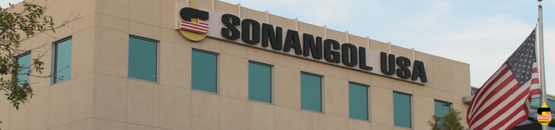 Services, Sonangol USA, Houston, Texas